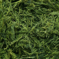 dried dill